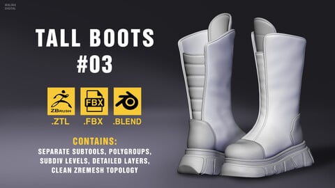 Tall boots #03. High poly model. ZTL + FBX + BLEND