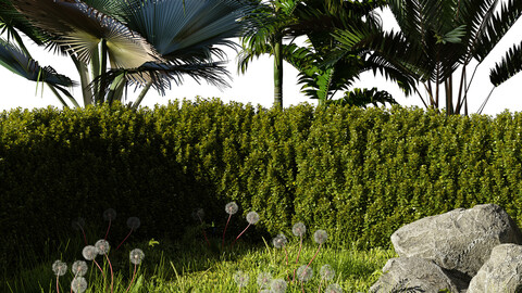 grass and garden palms collection