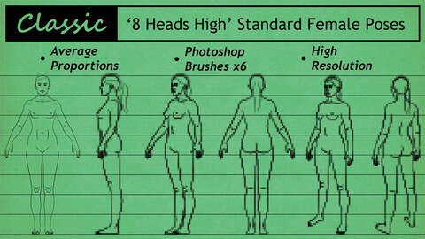 Female Standard Pose Brushes