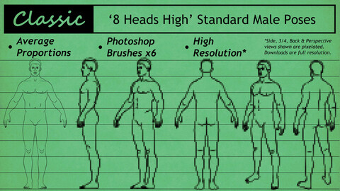 Male Standard Pose Brushes