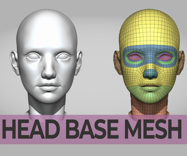 ArtStation - Head base mesh with Retopology | Resources