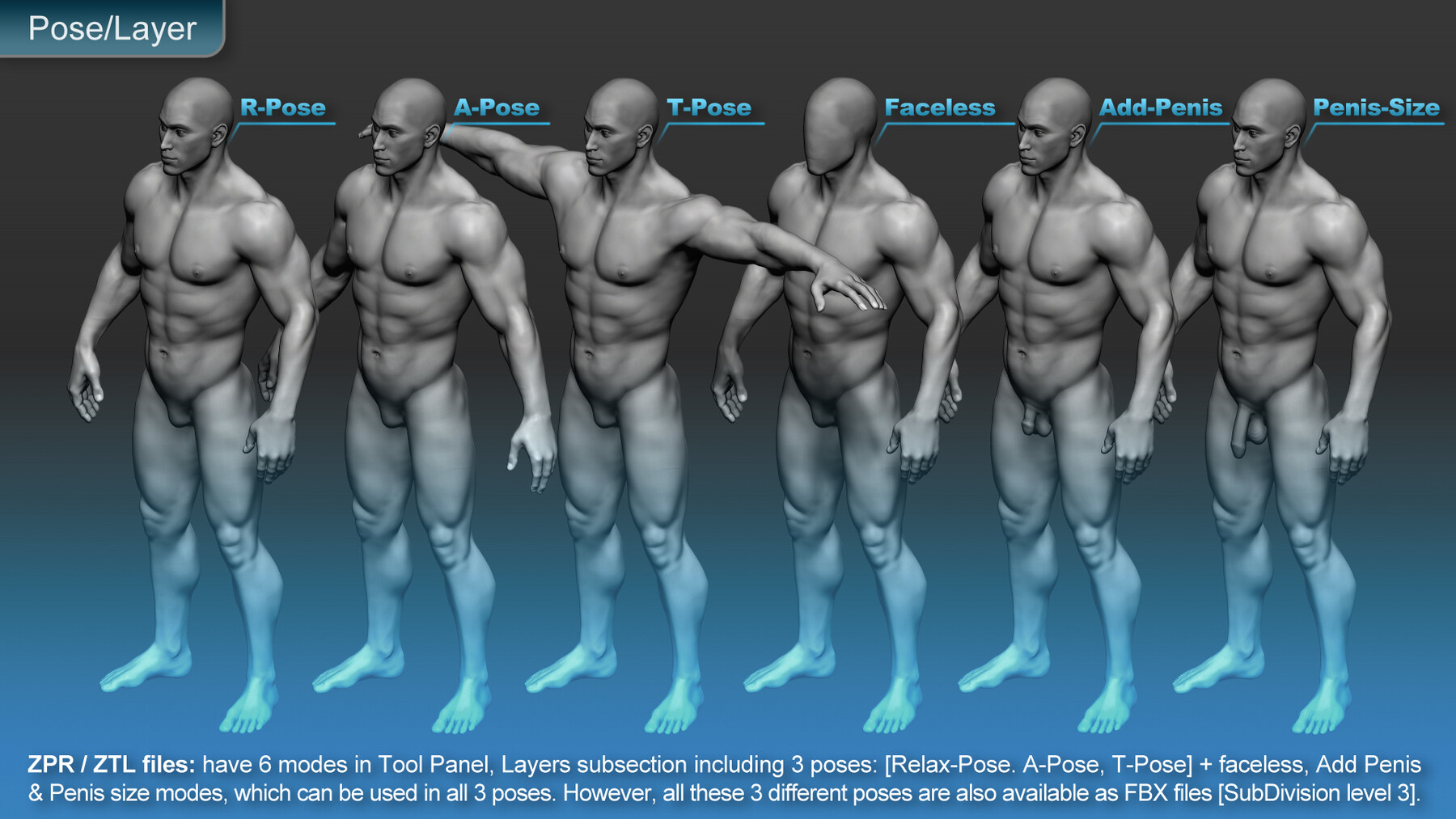 Basic male body proportions : r/drawing