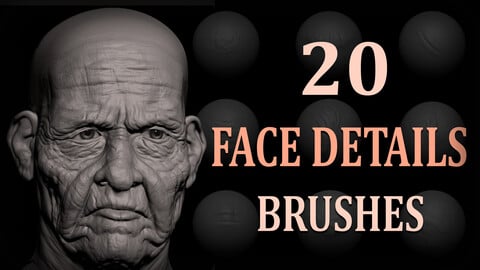 20 Face Details Brush + Alphas