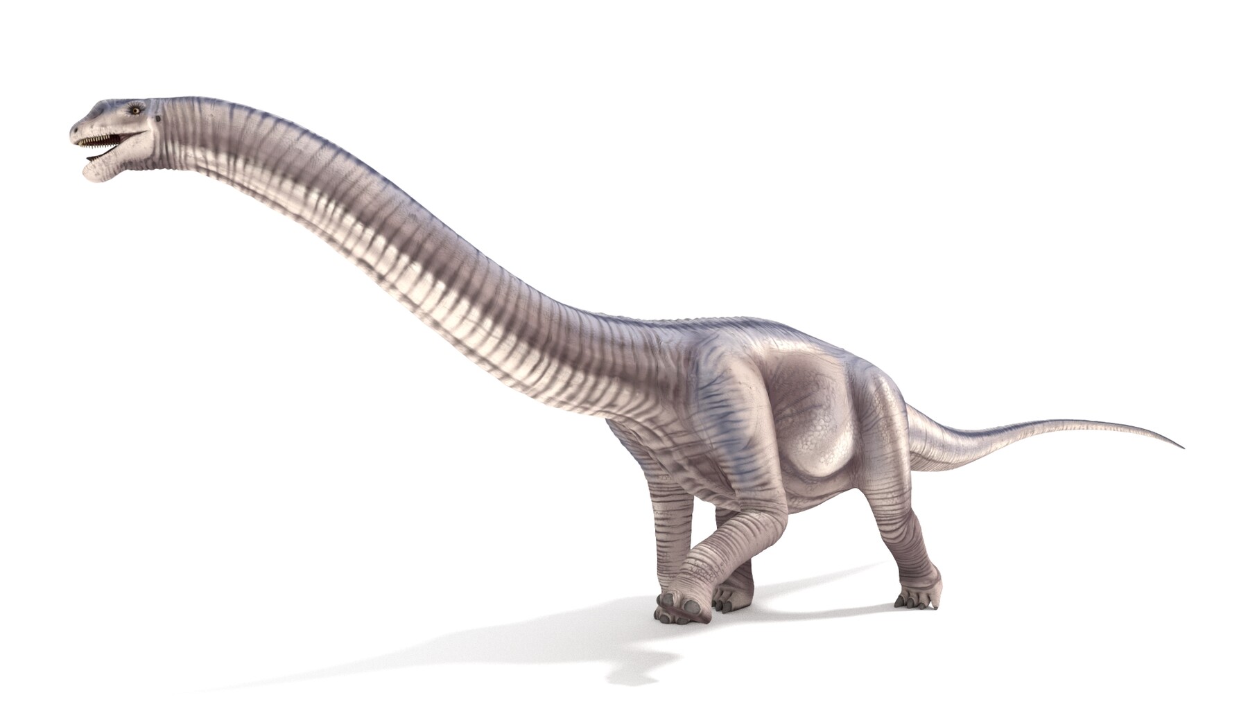 ArtStation - 3D Model: Dinosaur Collection