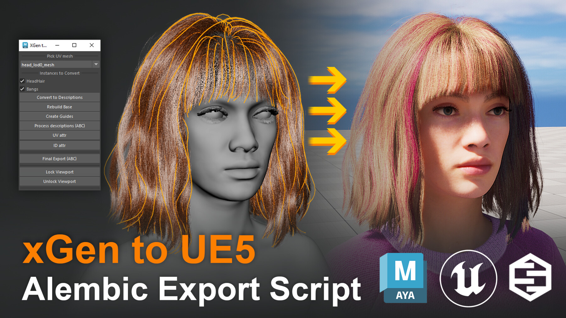 ArtStation - XGen To Unreal Script – Export Custom Metahumans Grooms ...