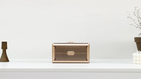 GOLD20W Wood 5.0 Bluetooth Speaker