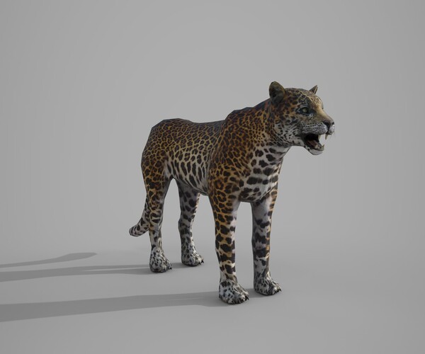 product thumbnail 38