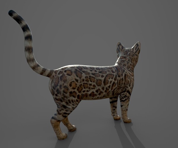 product thumbnail 77