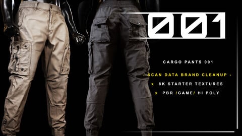Cargo Pants 001
