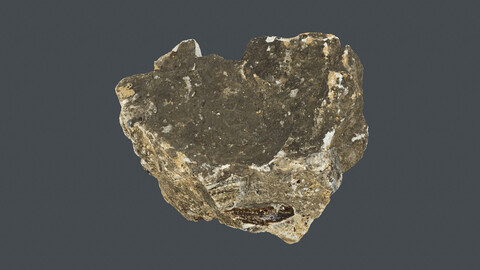 Rock_0141(Photogrametry.Photoscan.obj,Photo)