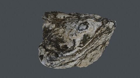 Rock_0149(Photogrametry.Photoscan.obj,Photo)