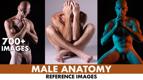 700+ Male Nude Reference Image