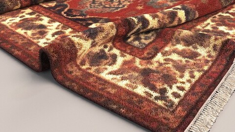 Carpet Rug 009