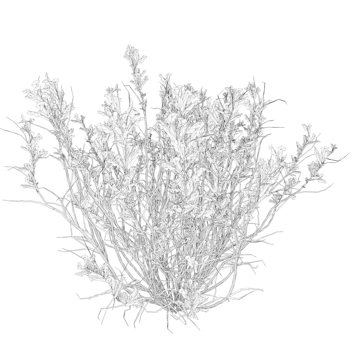 ArtStation - Broom Snakeweed (Flowers) #01 - High Poly Plant (3D Model ...