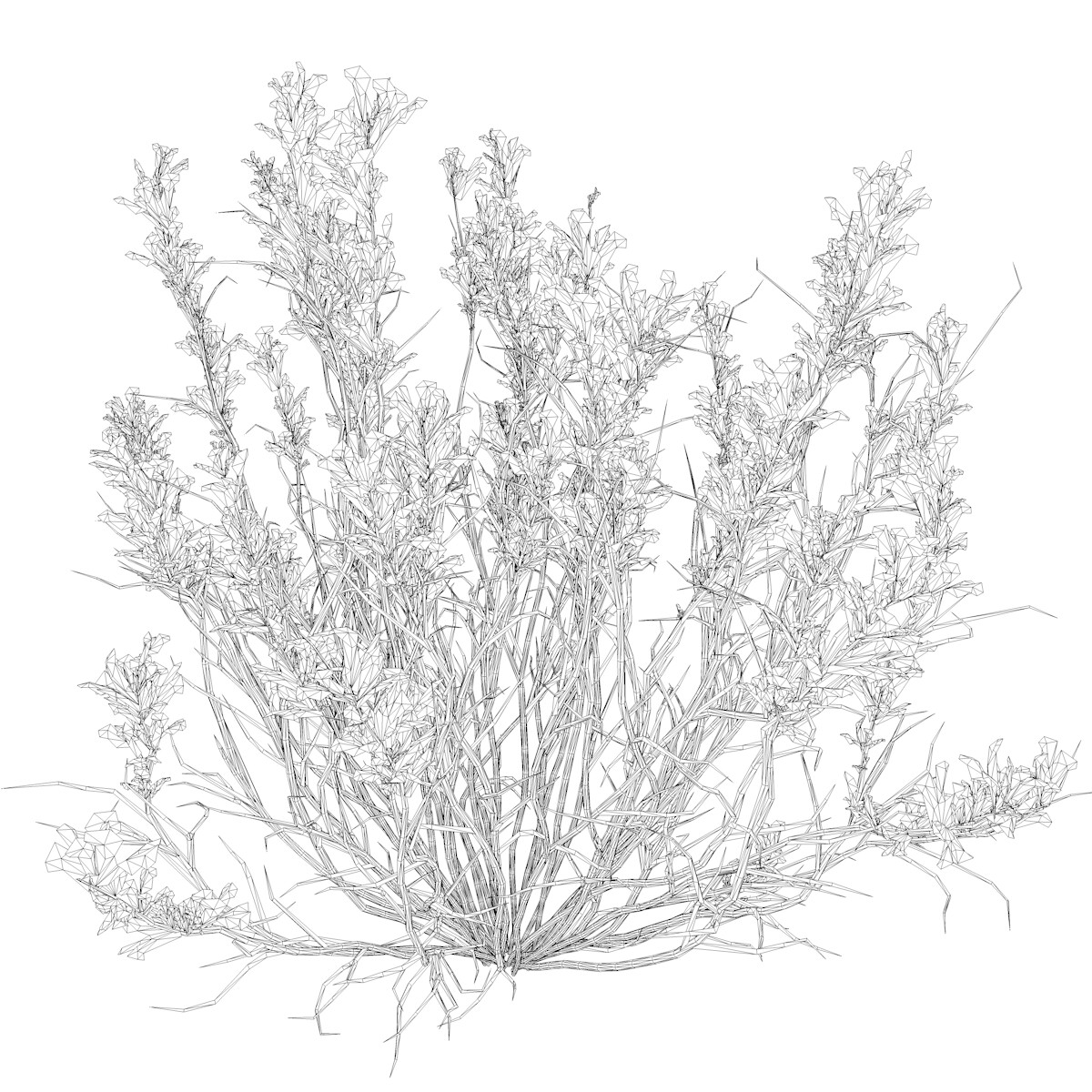 ArtStation - Broom Snakeweed (Flowers) #02 - High Poly Plant (3D Model ...