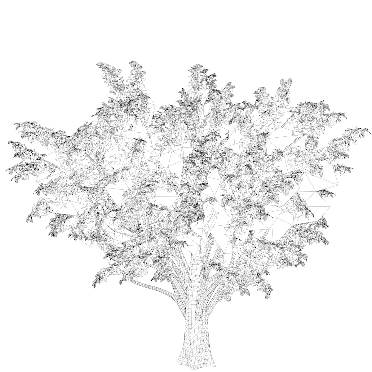 ArtStation - Common Hawthorn #02 - High Poly Tree (3D Model) | Game Assets