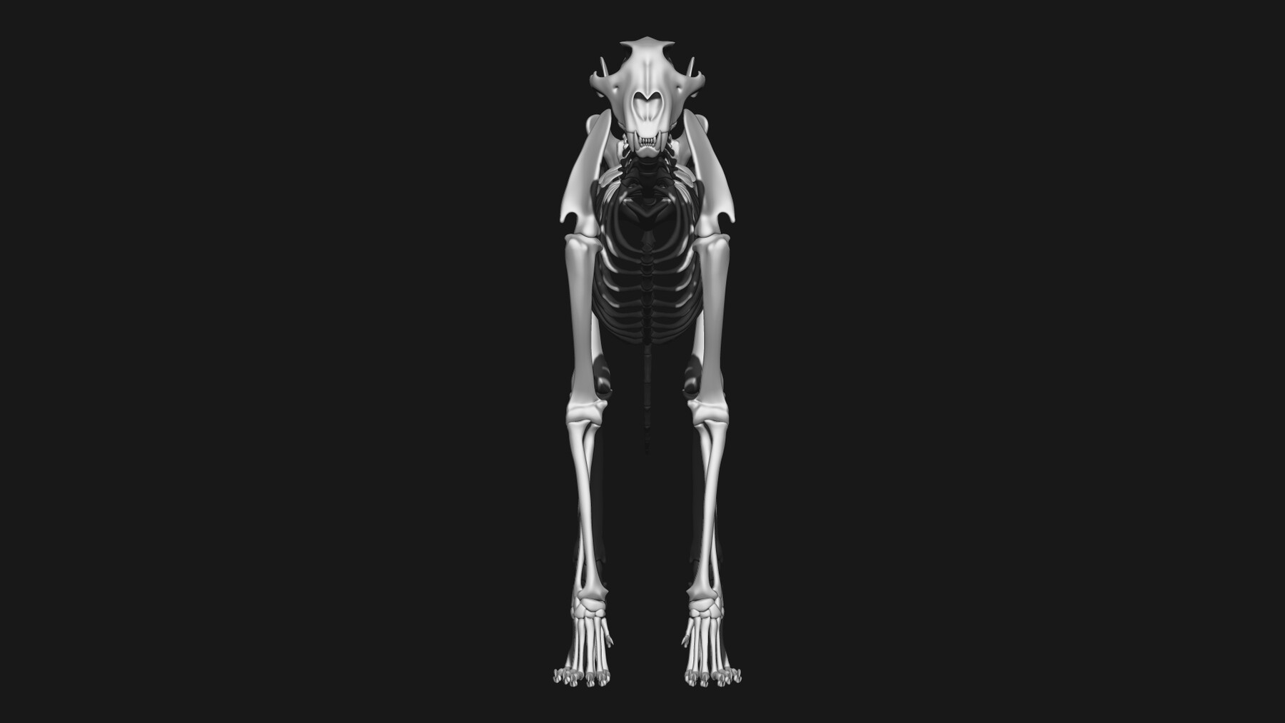 ArtStation - Dog & Cheetah | Resources