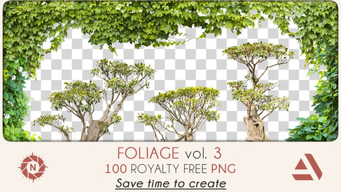 PNG Photo Pack: Foliage volume 3