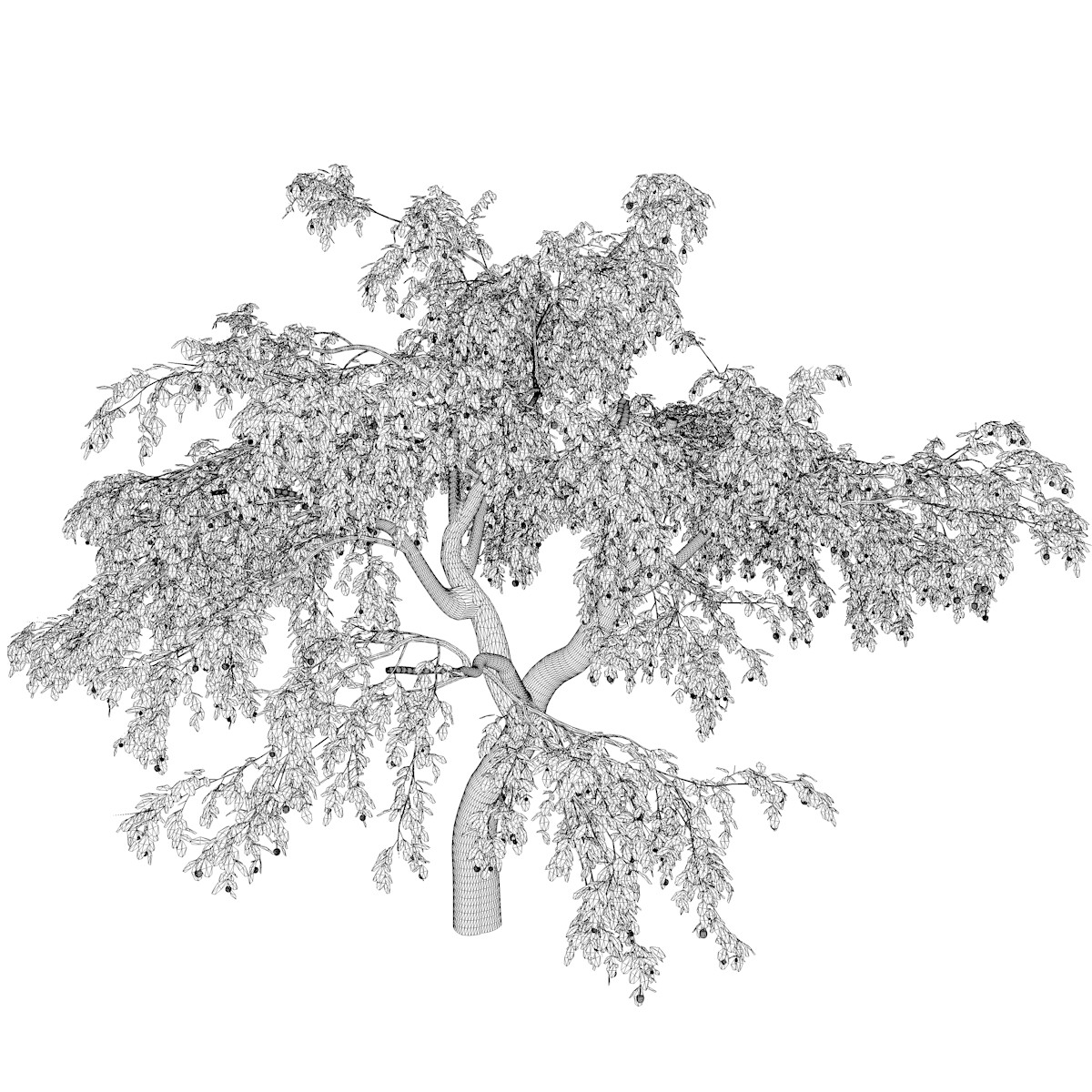 ArtStation - Cherry Tree #01 - High Poly Tree (3D Model) | Game Assets