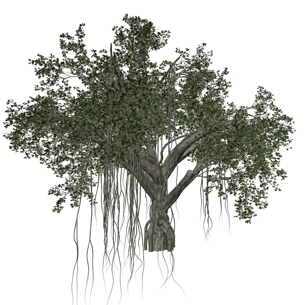 ArtStation - Chinese Banyan Tree #06 - High Poly Tree (3D Model) | Game ...