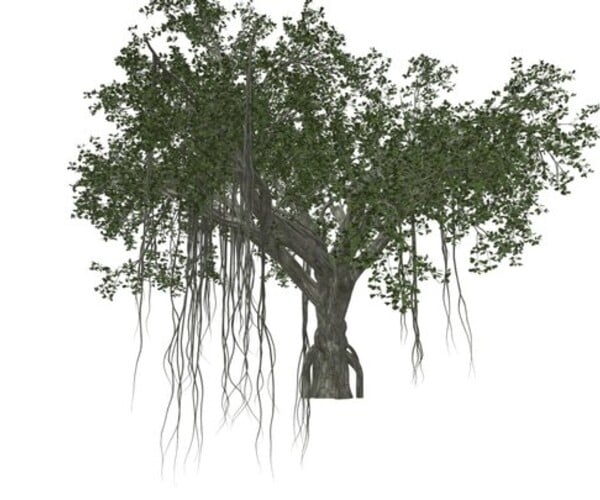 ArtStation - Chinese Banyan Tree #06 - High Poly Tree (3D Model) | Game ...