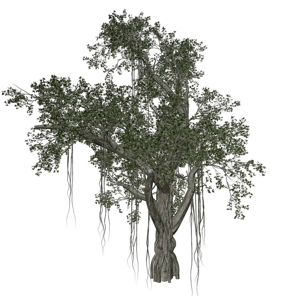 ArtStation - Chinese Banyan Tree #07 - High Poly Tree (3D Model) | Game ...