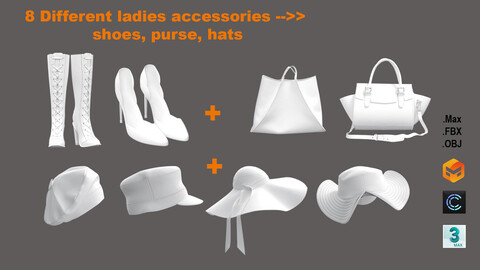 A lady accessories in a pack