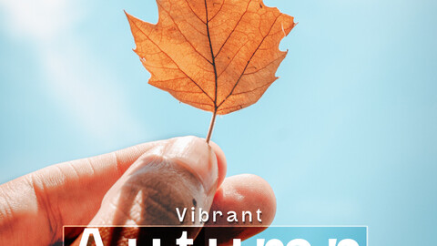 20 Vibrant Autumn Lightroom Mobile & Desktop Preset