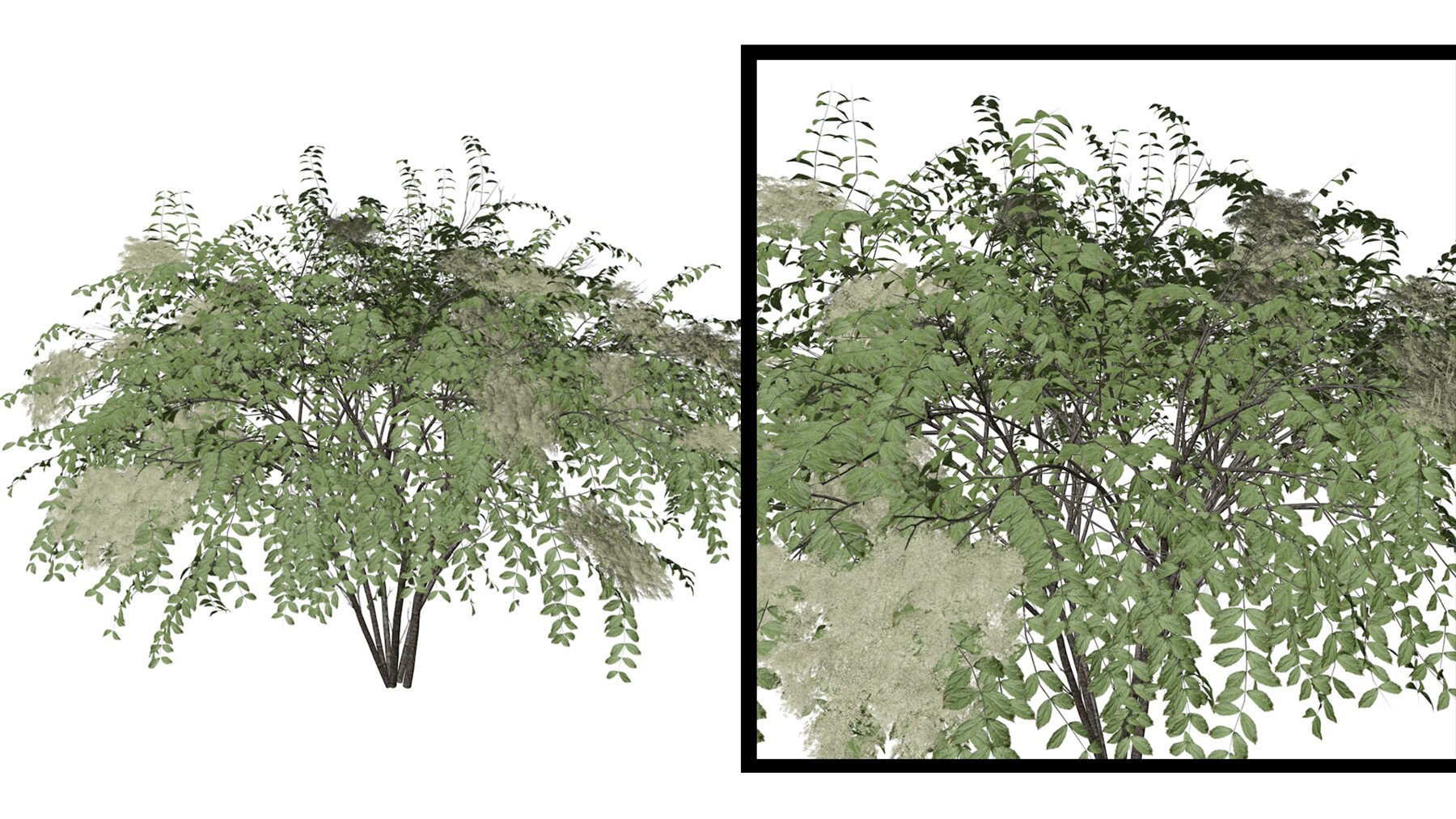 Kapok Tree #04 - 3D Model by AntonioKowatsch