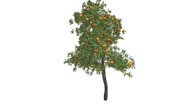 ArtStation - Orange Tree #01 - High Poly Tree (3D Model) | Game Assets