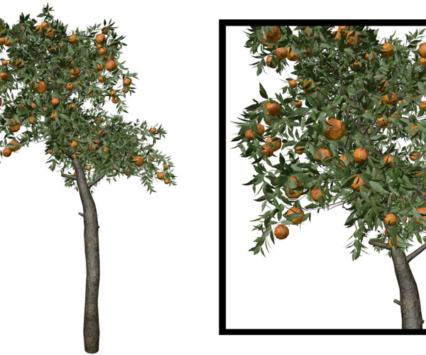 ArtStation - Orange Tree #02 - High Poly Tree (3D Model) | Game Assets