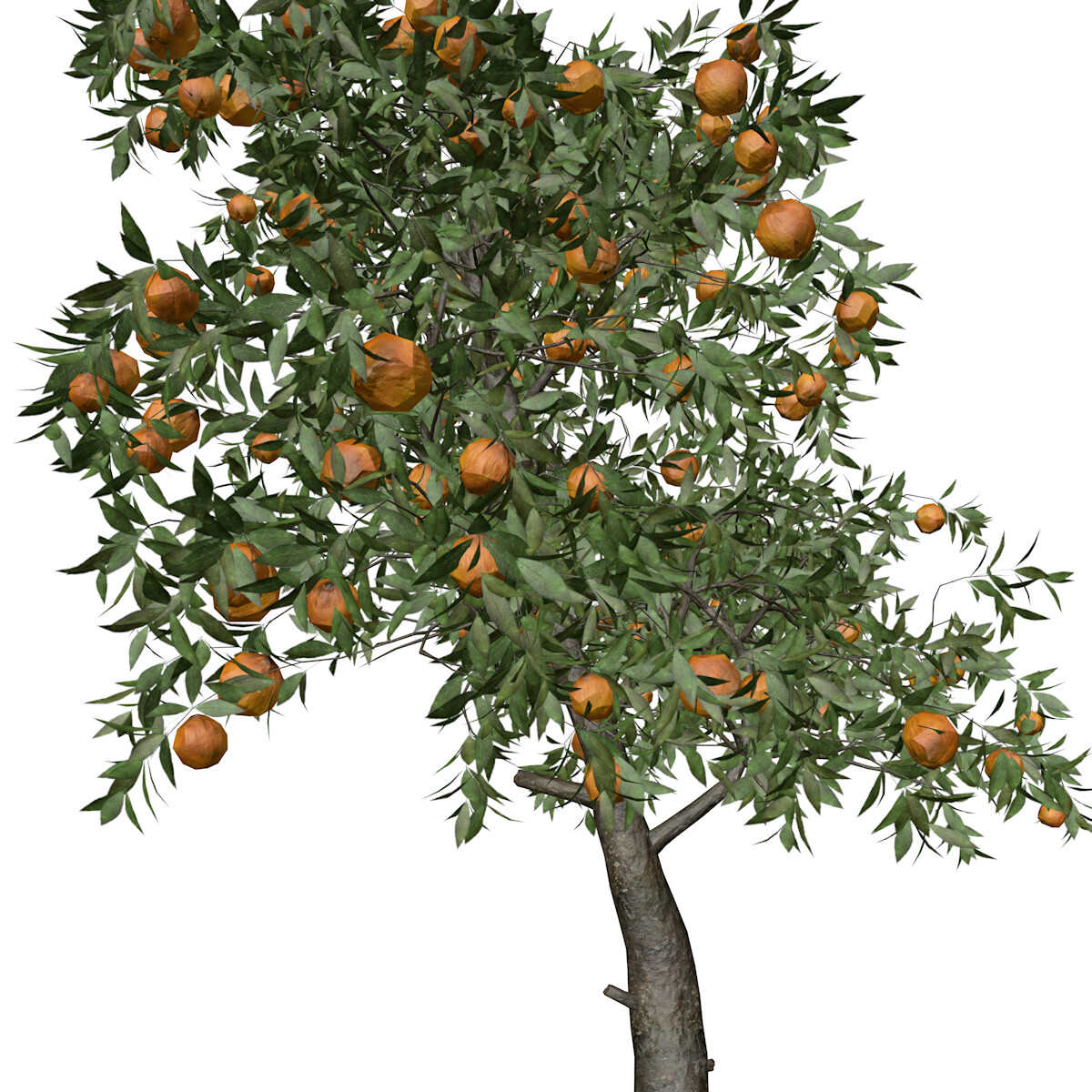 ArtStation - Orange Tree #02 - High Poly Tree (3D Model) | Game Assets