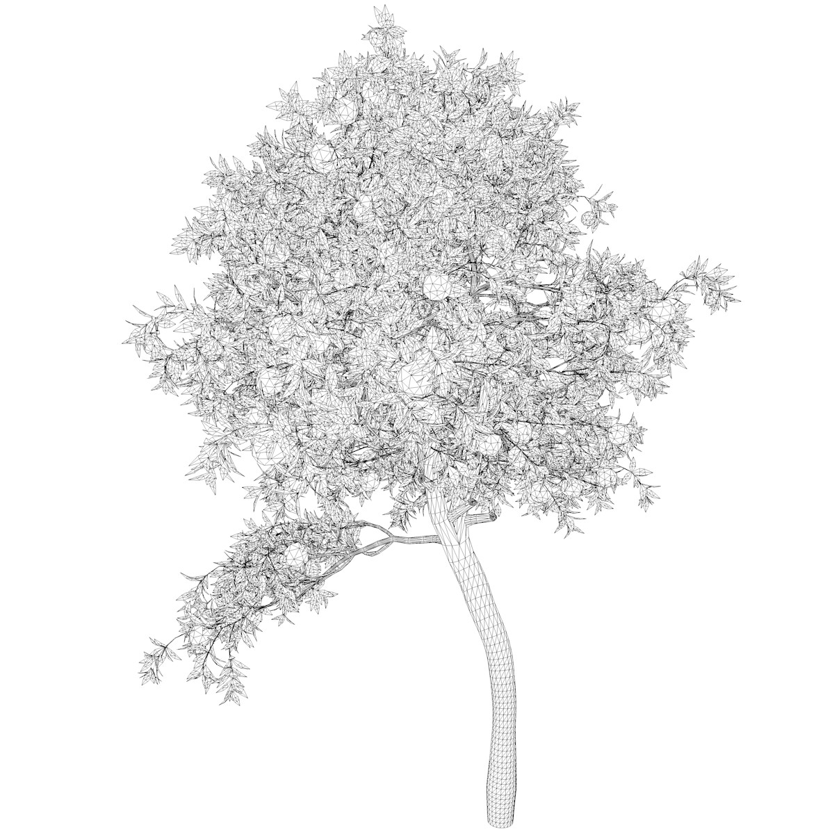 ArtStation - Orange Tree #06 - High Poly Tree (3D Model) | Game Assets