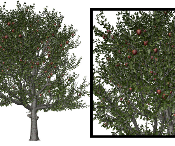 ArtStation - Red Delicious Apple Tree #02 - High Poly Tree (3D Model ...