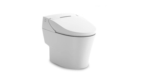 IW950 bidet all in one toilet