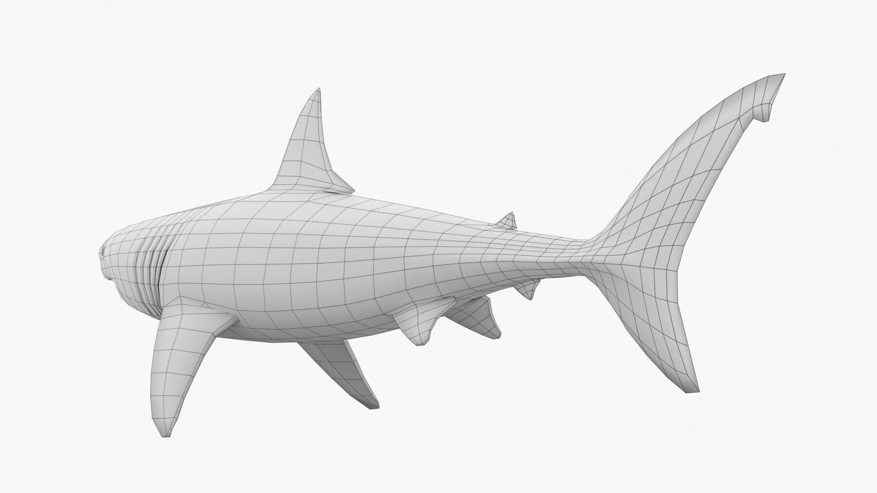 Blender Shark Model Download - Colaboratory