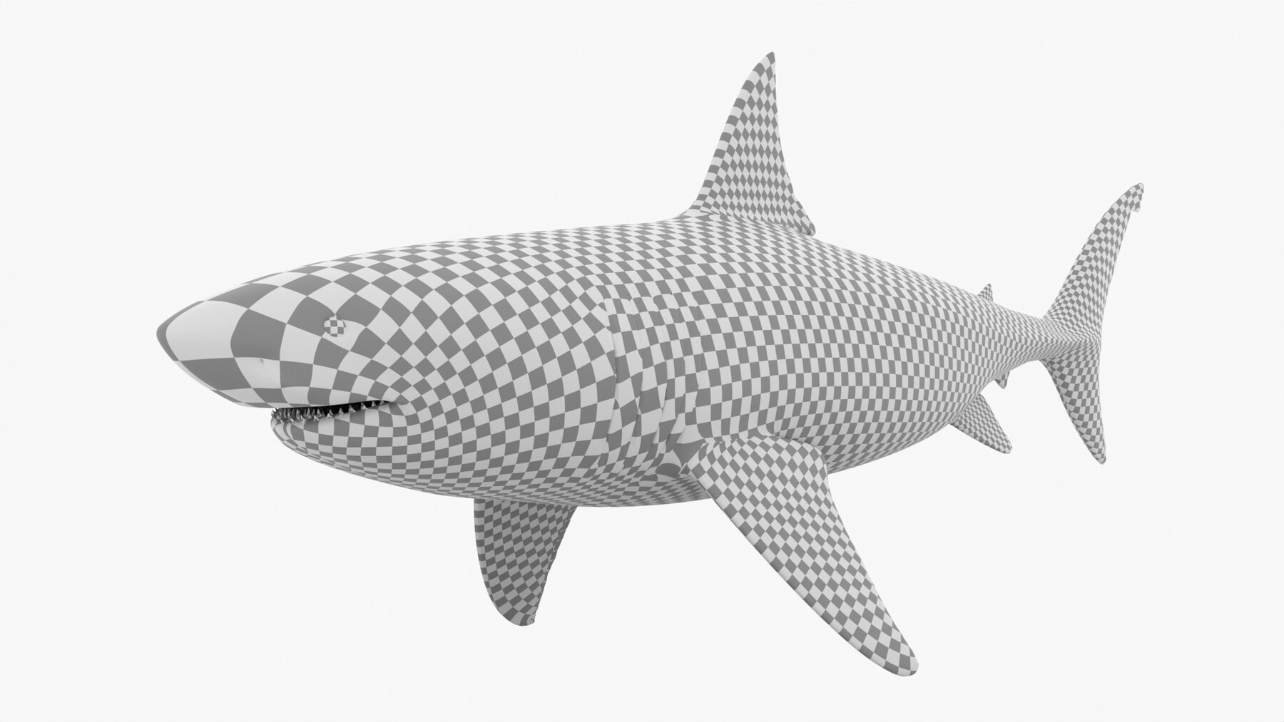 Great White Shark - Rig and model demo (Blender) 