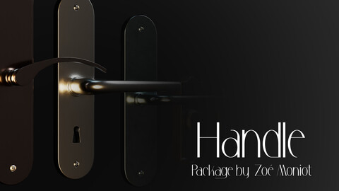 Handle Package - 3D Model