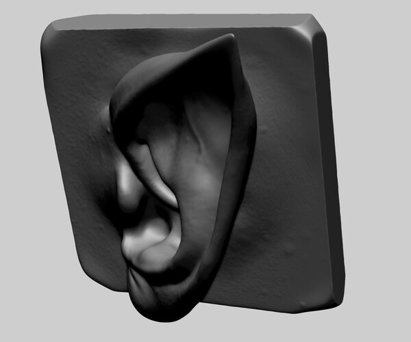 ArtStation - Ear Model C | Resources