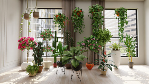 Plant Pack #1