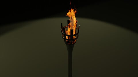 Torch with a metal handle