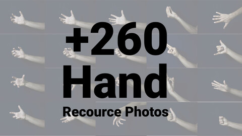 +260  Hand - Reference picture