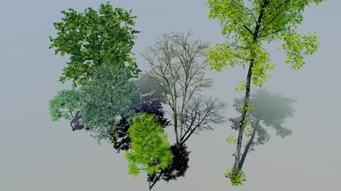 tree pack 02 (free)