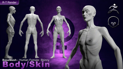 Human Female [ Body/Skin Basemesh ] Skinny