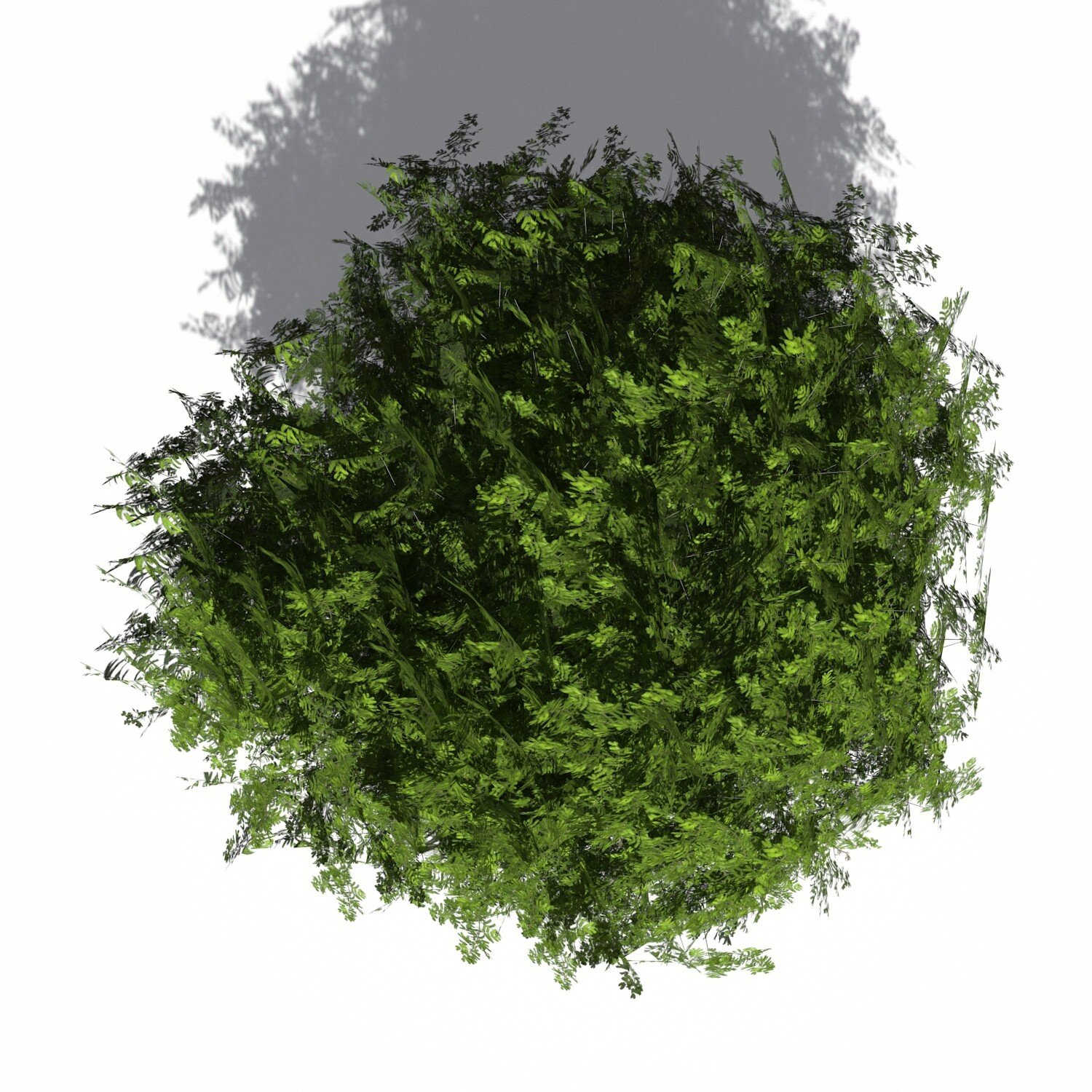 ArtStation Acacia Green Tree Resources