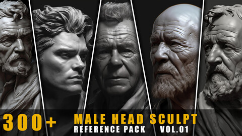 300+ Male Head Sculpt - References Pack | Vol.01