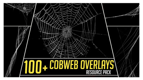 100+ Spider Web Overlays Resource Pack for Photobashing in Photoshop