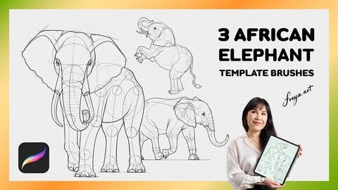 Procreate African Elephant Stamp | 3 Template Procreate Brushes