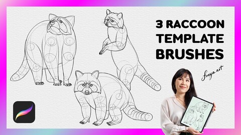 Procreate Raccoon Stamp | 3 Template Procreate Brushes