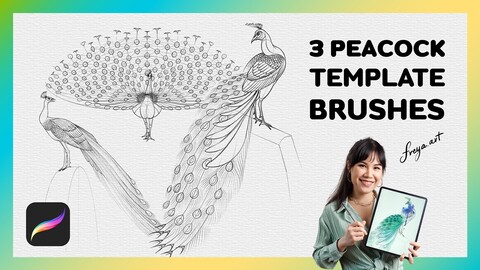 Procreate Peacock Stamp | 3 Template Procreate Brushes